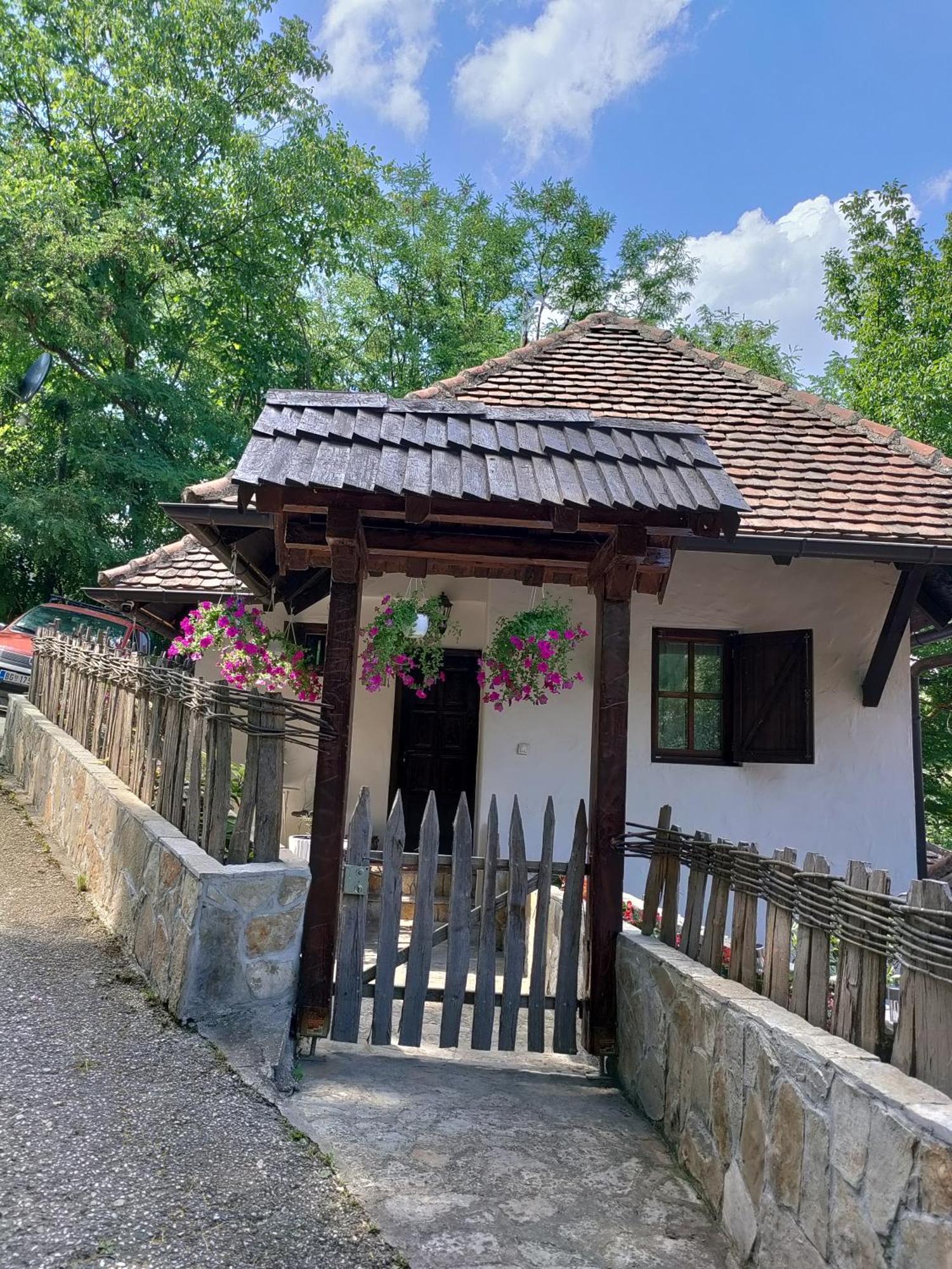 Konak Lecic Trsic Zewnętrze zdjęcie